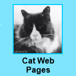 Our Cat Web Pages