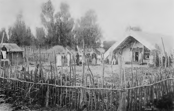 New Zealand Maori House Showing Roof of Moderate Pitch