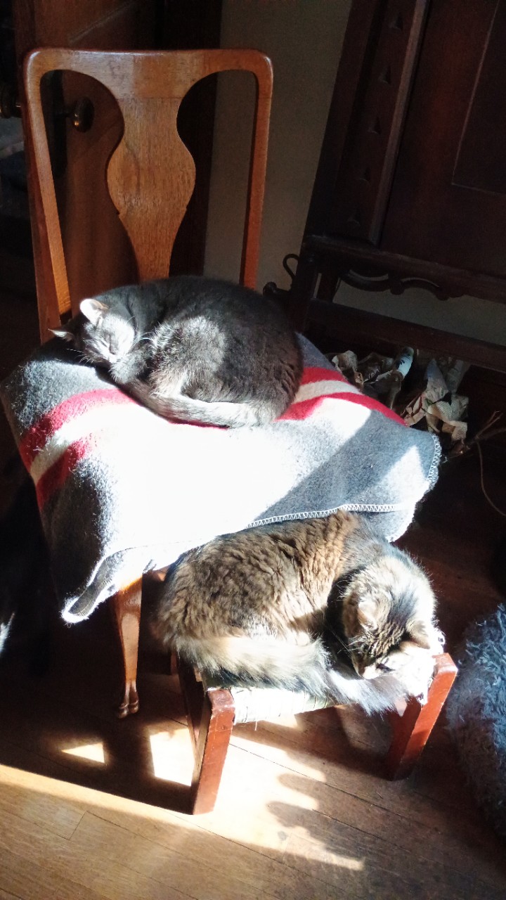 Pye and Toby