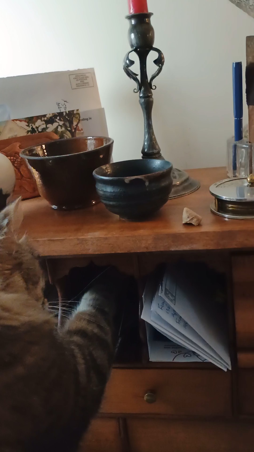 Toby looting a cubby hole on my desk
